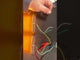 PatrolSM Quad – 6LED Surface Mount Warning Light (Quad Color).