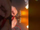 PatrolSM Mini Quad – Surface Mount LED Warning Light.