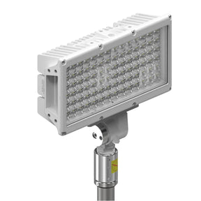 Torch Pole Light.