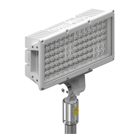 Torch Pole Light.